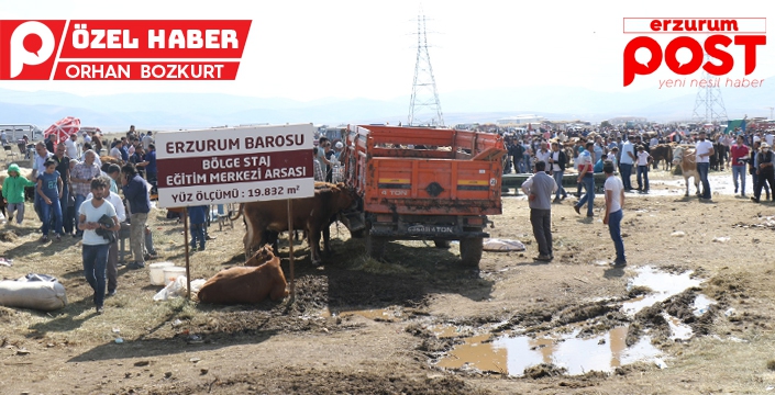 Erzurum Barosu milyonluk arsayı kime kaptırdı?