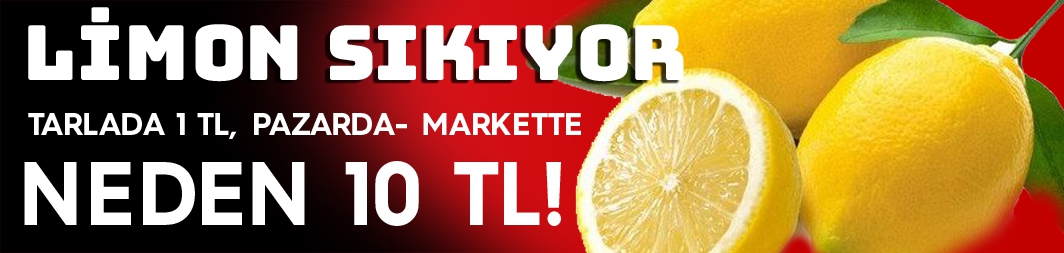 Tarlada 1 TL olan limon, pazarda- markette  neden 10 lira?